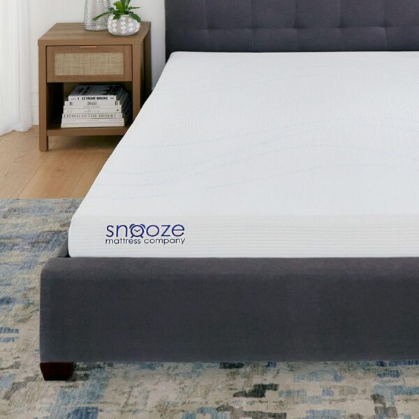 Snooze 6-in. Dual Layer Support Memory Foam Mattress