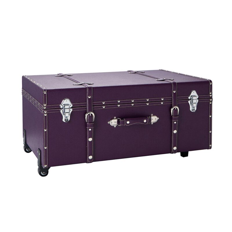 Texture Brand Storage Trunk with Wheels - Image 13