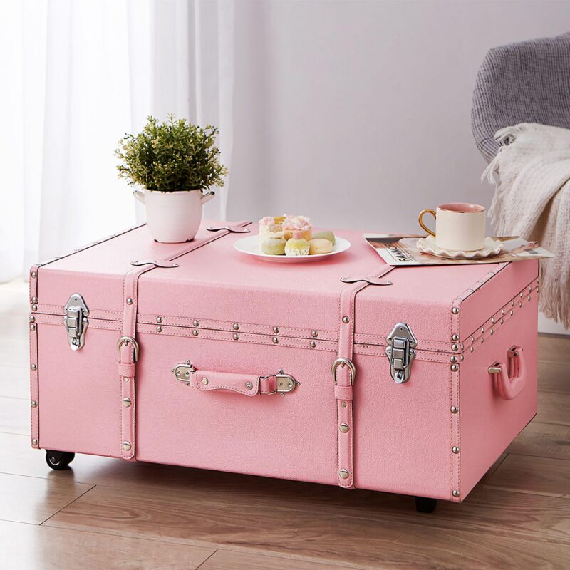 Texture Brand Storage Trunk with Wheels - Image 3