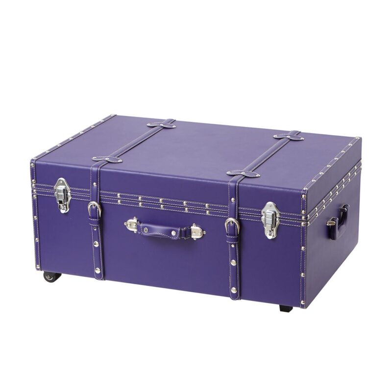 Texture Brand Storage Trunk with Wheels - Image 19