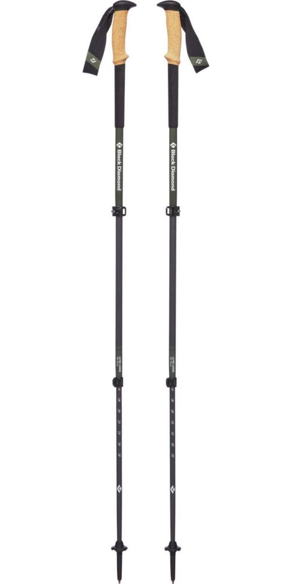 Black Diamond Alpine Carbon Cork Trekking Poles