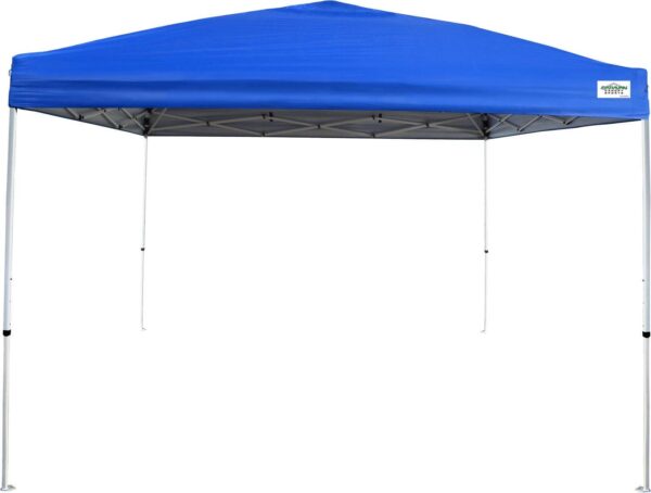 Caravan Canopy V-Series 2 Pro 10' x 10' Straight Leg Canopy