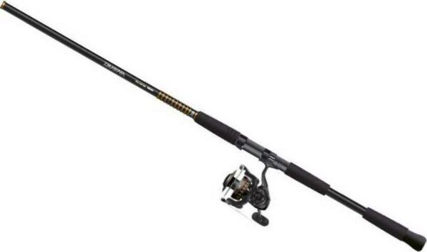 Daiwa BG4500/902MH BG Saltwater Spinning Combo