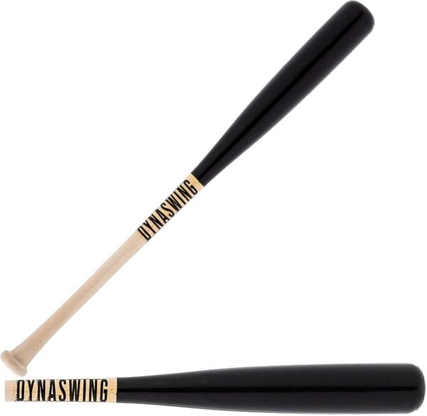 Dynaswing Youth Training Bat