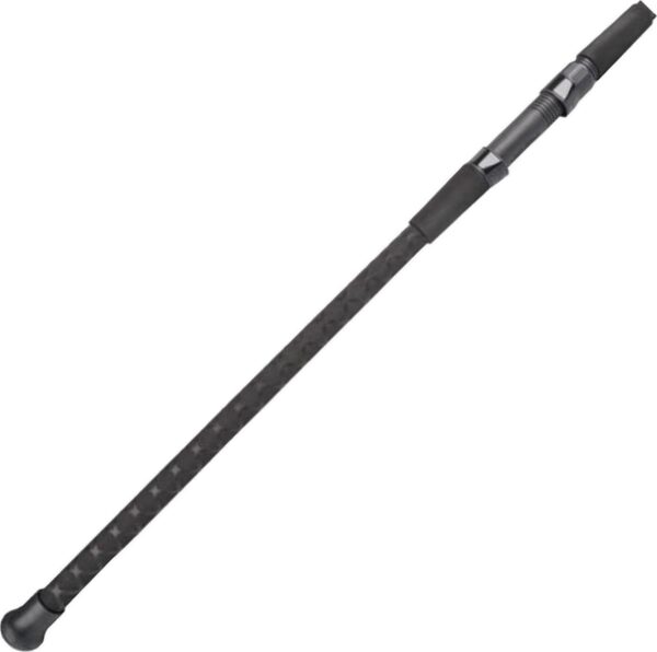 Lamiglas Insane Surf Spinning Rod