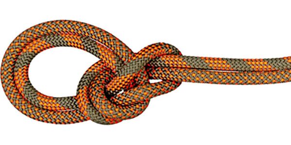 Mammut 9.5 Crag Dry Rope Duodess