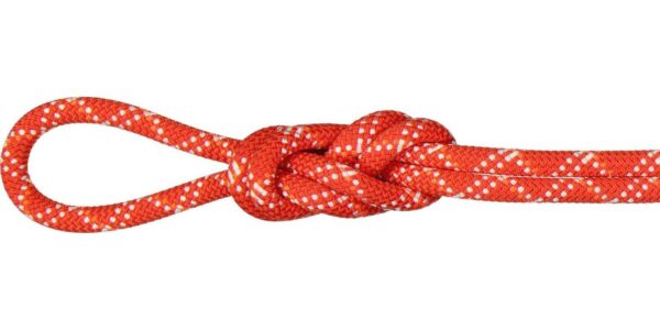 Mammut 9.5 Gym Classic Rope