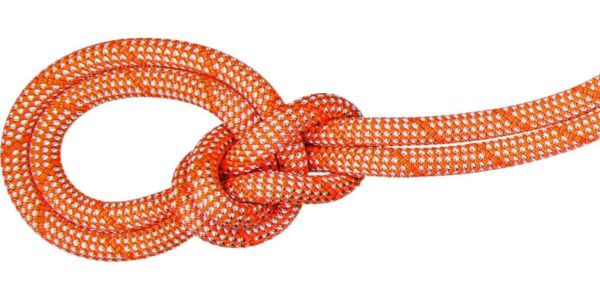 Mammut 9.8 Crag Classic Rope