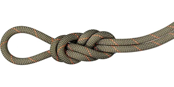 Mammut 9.9 Gym Workhorse Classic Rope