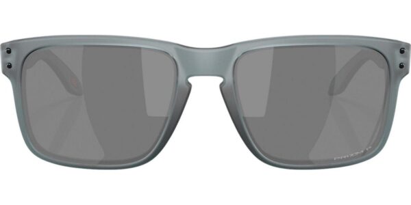 Oakley Holbrook Polarized Sunglasses