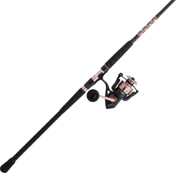 PENN Fishing Passion II 5000 Combo