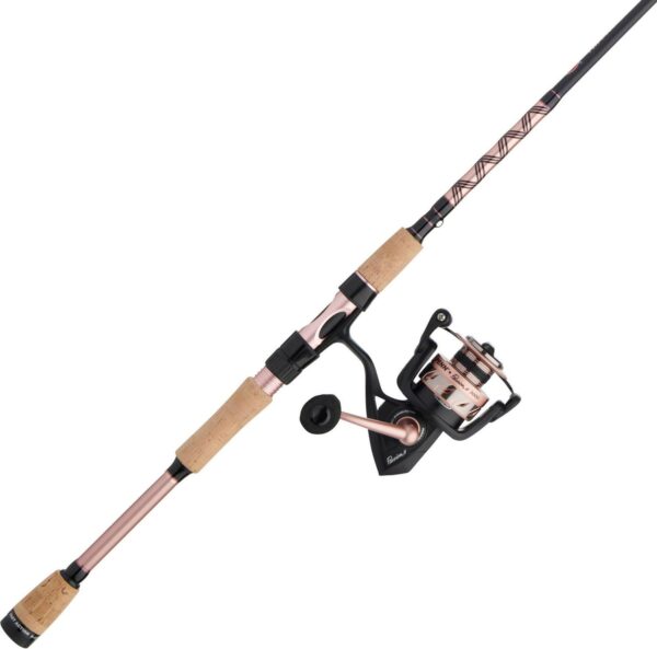 PENN Fishing Passion II Combo