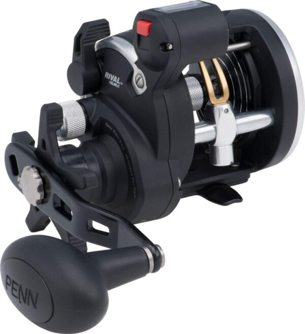 PENN Fishing Rival Level Wind Line Counter Conventional Reel