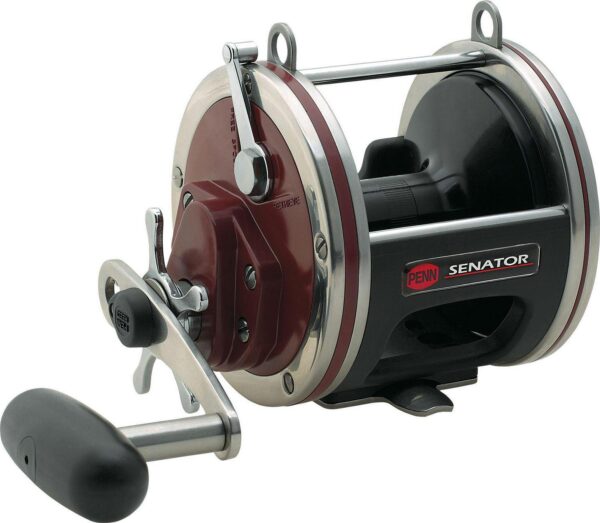 PENN Fishing Special Senator Conventional Reel