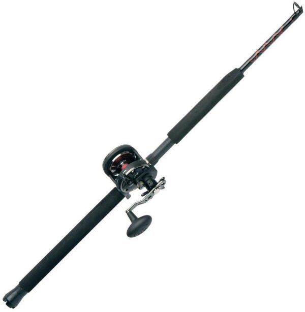 PENN Fishing Warfare Star Drag Conventional Combo