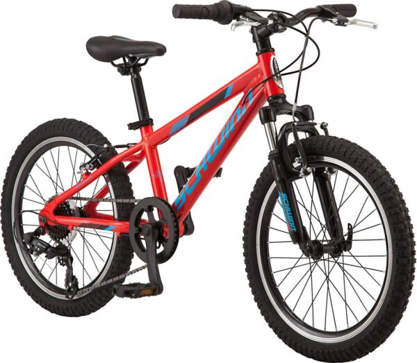 Schwinn Signature Boys' Thrasher 20'' Mountain Bike