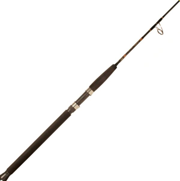 Star Rods Ariel Jigging Spinning Rod