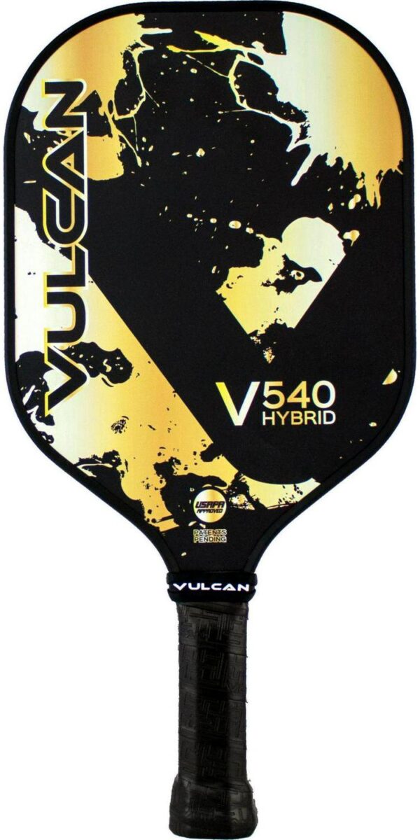 Vulcan V540 Control Paddle