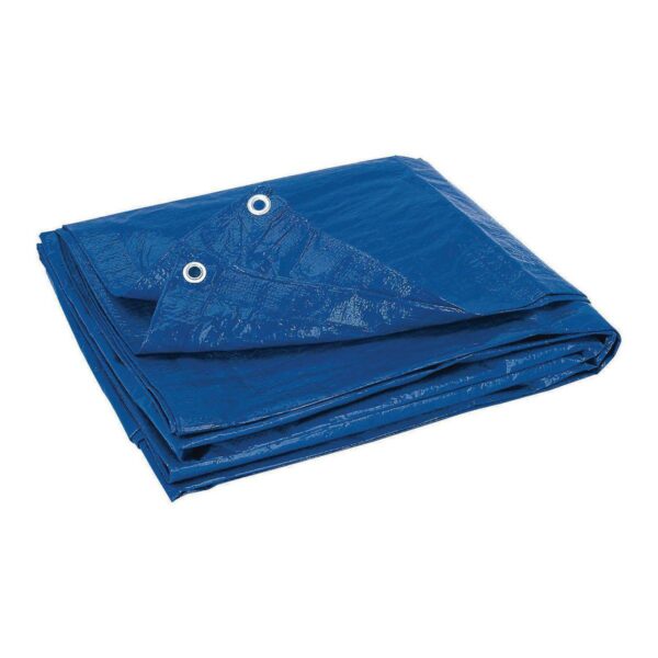 24 ft. 10 in. x 39 ft. 4 in. Blue All-Purpose Weather-Resistant Tarp