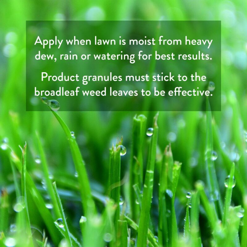 GreenView Broadleaf Weed Control + Lawn Food - 39 lb. - Covers 15,000 Sq. ft. - Image 4