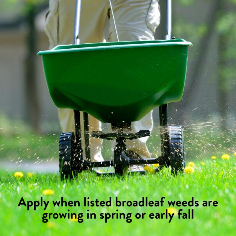 GreenView Broadleaf Weed Control + Lawn Food - 39 lb. - Covers 15,000 Sq. ft. - Image 5