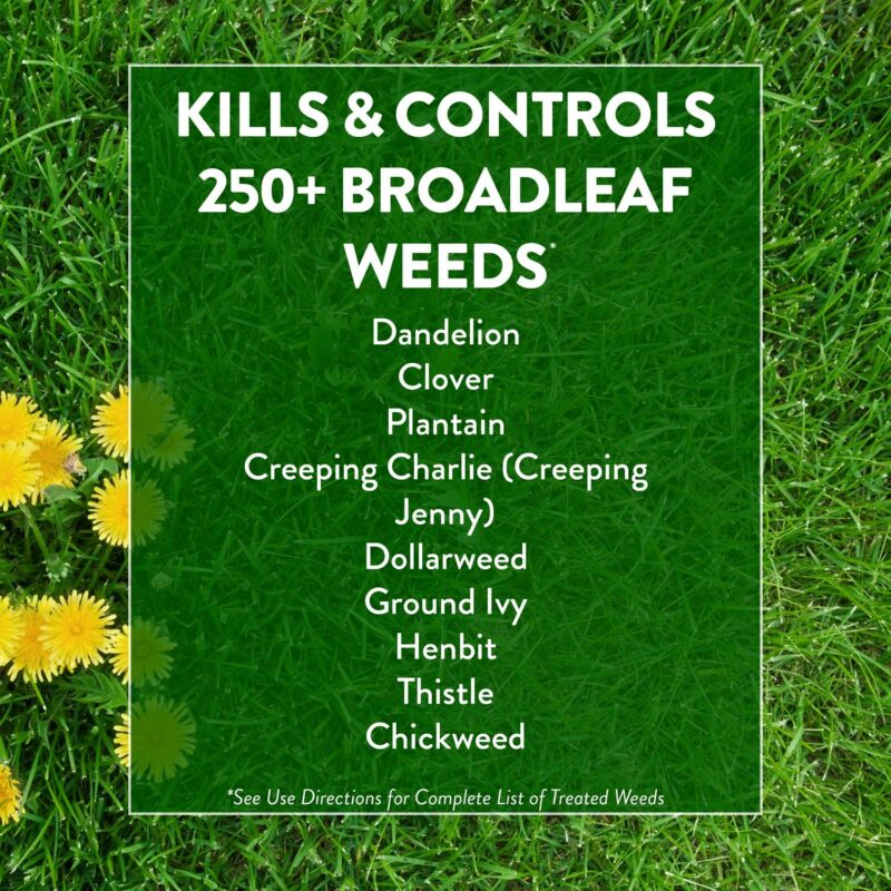 GreenView Broadleaf Weed Control + Lawn Food - 39 lb. - Covers 15,000 Sq. ft. - Image 3