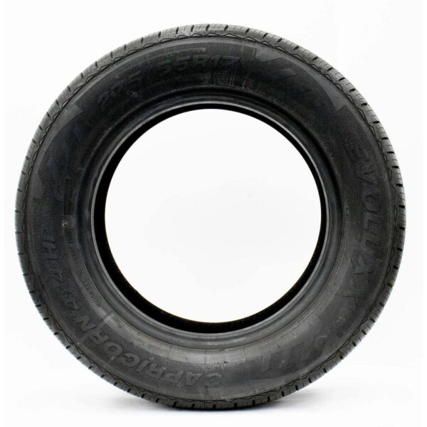 Evoluxx Capricorn 4X 262261afacc441976d0bdc0ef0e85f36 6