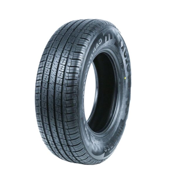 Evoluxx Capricorn 4X4 HP All Season 255/60R18 112V Passenger Tire