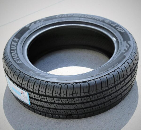 Evoluxx Capricorn 4X 8cabca4cfa14a96112391e0219bc511d