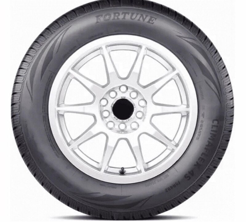 Fortune ClimaFlex 4S FSR402 Touring 235/55R20 102V SUV/Crossover Tire - Image 3