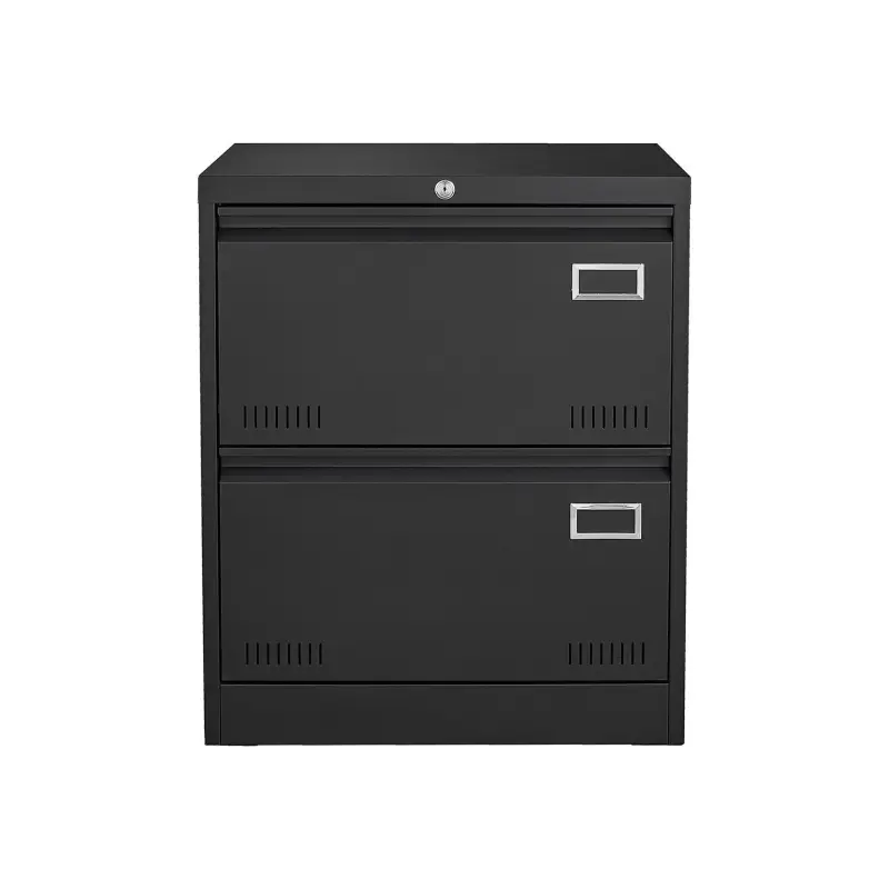 GZMR 2 Drawer Metal Lateral File Cabinet Black 2 -Drawer 23.62-Inches File Cabinet - Image 10