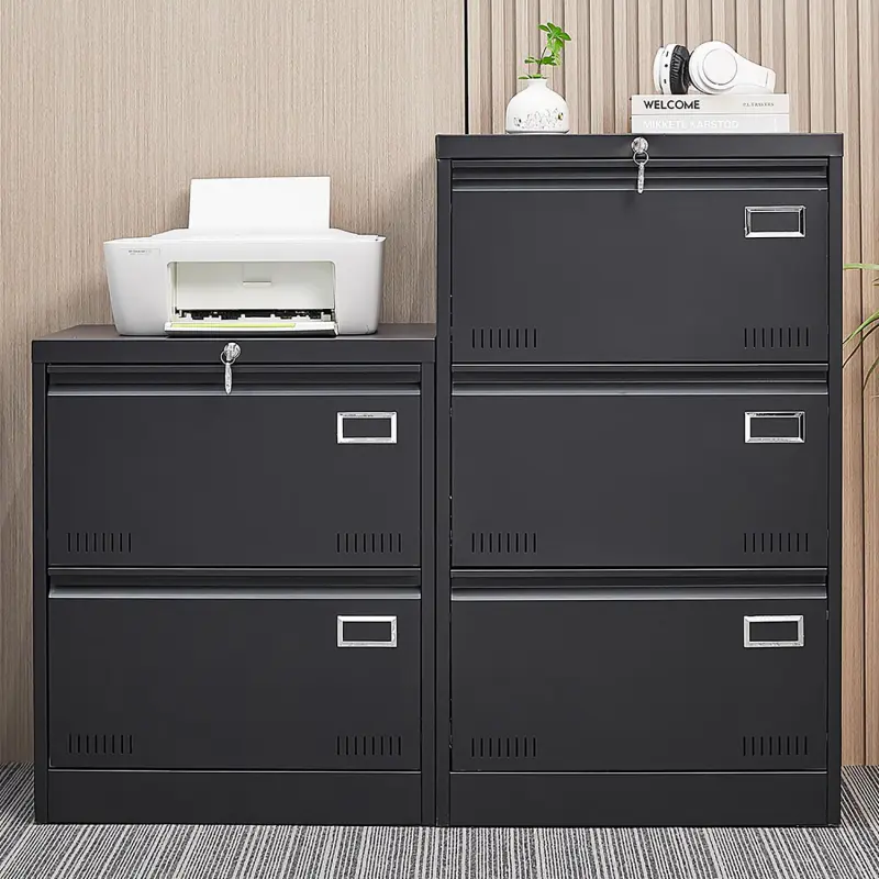 GZMR 2 Drawer Metal Lateral File Cabinet Black 2 -Drawer 23.62-Inches File Cabinet - Image 9