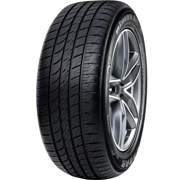 Radar Dimax AS-8 All Season 255/45R19 104W XL Passenger Tire