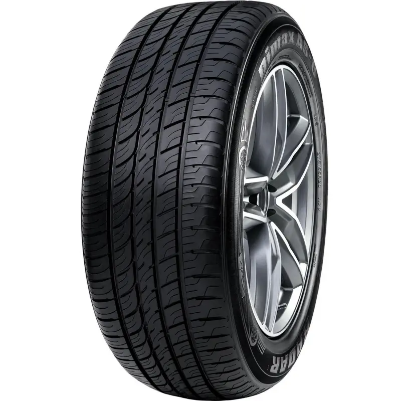 Radar Dimax AS-8 All Season 255/45R19 104W XL Passenger Tire