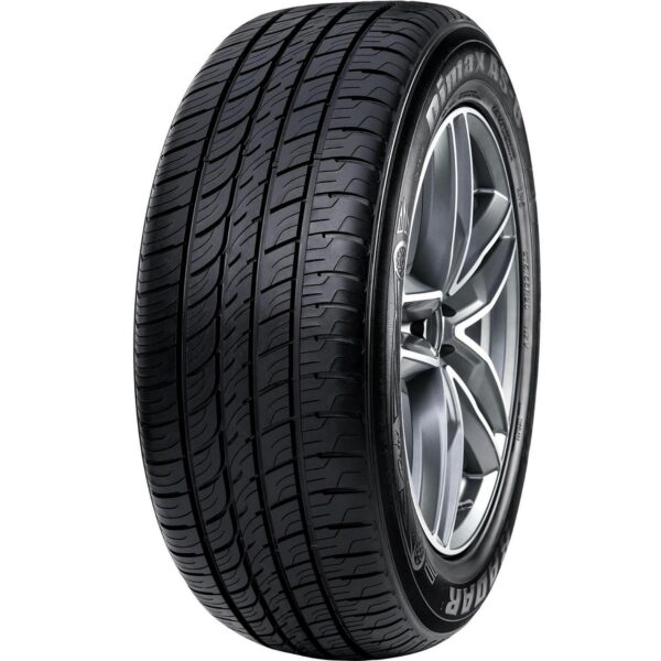 Radar Dimax AS-8 All Season 235/50R19 103W XL Passenger Tire