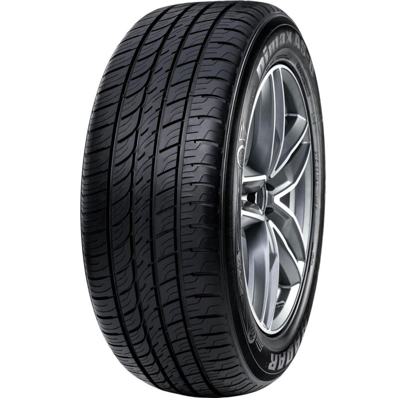 Radar Dimax AS-8 All Season 235/50R19 103W XL Passenger Tire