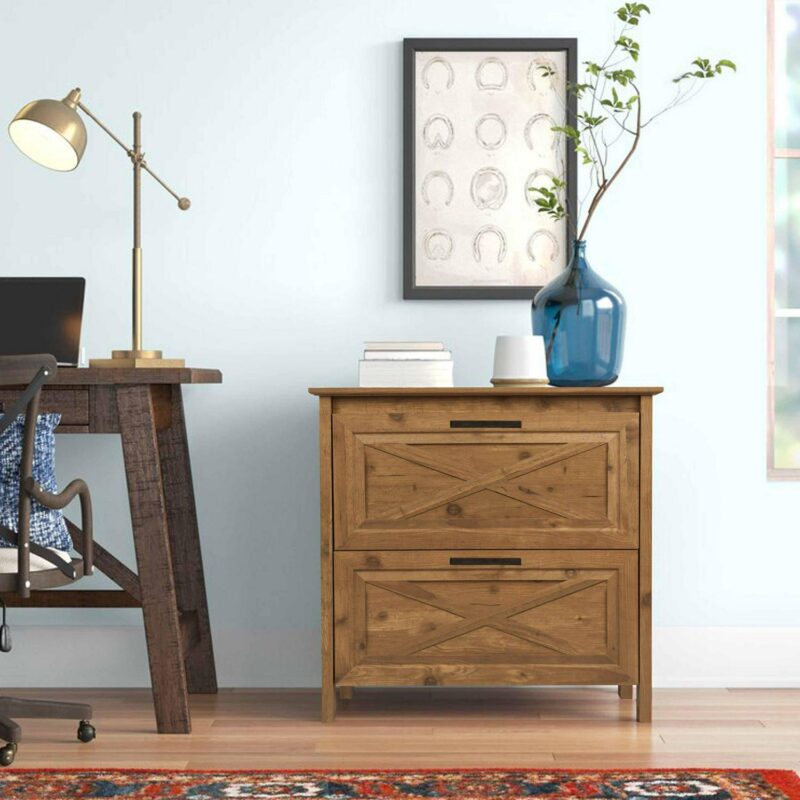 Saint Birch Houstin Rustic Brown 2 -Drawer 30-Inches File Cabinet - Image 3