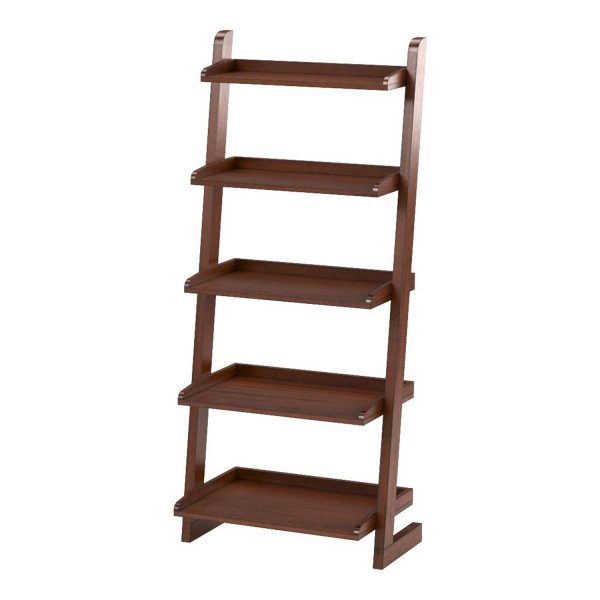 Furniture of America Carley 5-Shelf Ladder Leaning Bookcase, Antique Oak