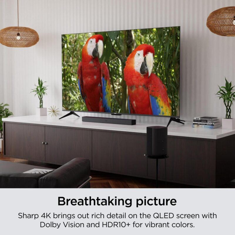 Roku 65-Inch Plus Series 4K QLED Smart Roku TV with Roku Voice Remote Pro, Dolby Vision, Striking 4K Resolution, Automatic Brightness, and Seamless Streaming - Image 4