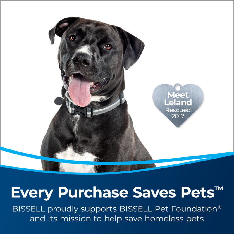 BISSELL® PowerClean® Allergen Lift-Off® Pet Upright Vacuum (3399) - Image 6