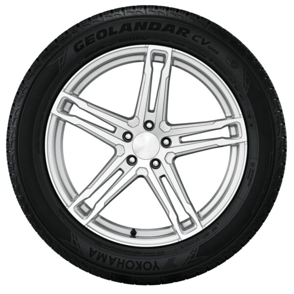 421d175f d916 4881 ac46 5a7290b843b3.612b6c949a4a9d5419583dbb90715bde