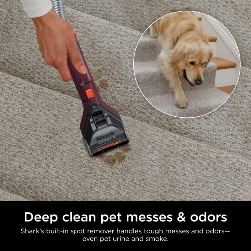 Shark CarpetXpert Upright Deep Carpet, Area Rug & Upholstery Cleaner with Built-in Spot & Stain Eliminator and 12 oz Deep Clean Pro Cleanser, EX150 - Image 5