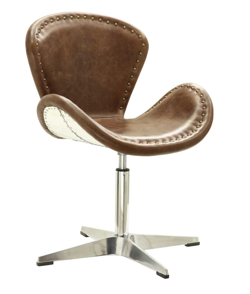 ACME Brancaster Accent Chair in Retro Brown and Aluminum - Image 5