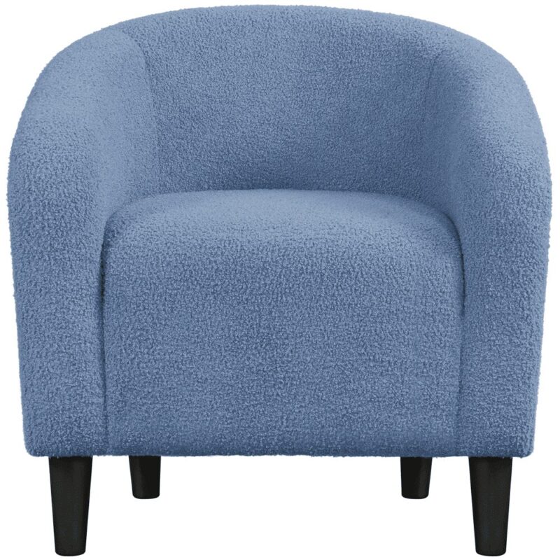 Renwick Set of 2 Boucle Upholstered Club Chair, Blue