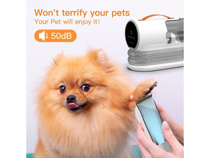 Airrobo Laser Robot Vacuum Cleaner and Mop Combo T20+ , 60 days Self-Empty Bin, 180 min Runtime, APP and Voice Control - Image 3